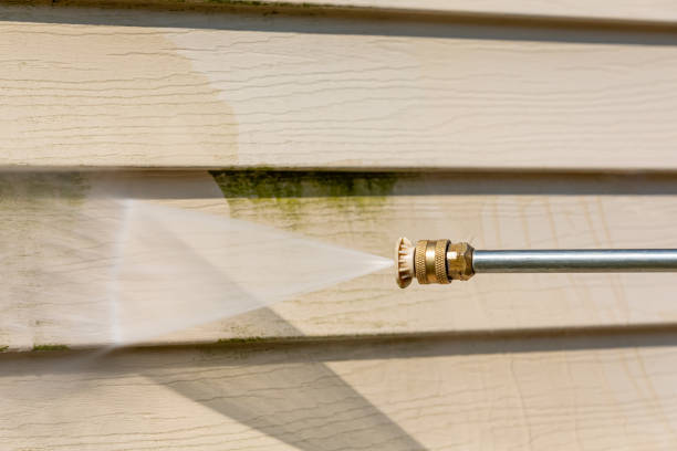 Best Residential Pressure Washing Services  in Hawaiian Beaches, HI
